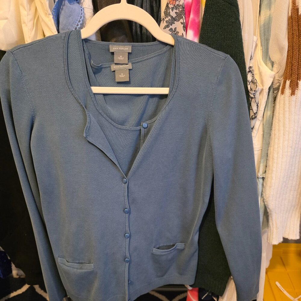 Ann Taylor Sweater Set